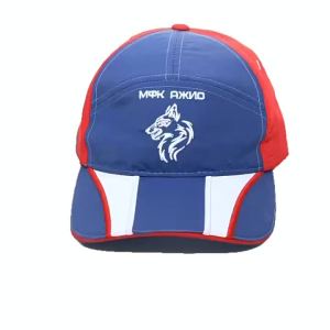 Versatile World Cup football cap baseball cap sun hat Brazil France Netherlands high-end large brim trendy duckbill cap
