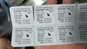 EXP2029 Drontal deworm cat| 1 Piece For Deworming-Medication in Cats deworm tablet for dog 猫驱虫cat deworming tablet