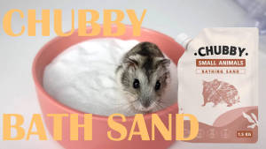Chubby Hamster Dry Food 1.5 kg - Morio - ทรายอาบน้ำแฮมเตอร์ - หนูแฮมเตอร์ - กระต่าย hamster bath sand