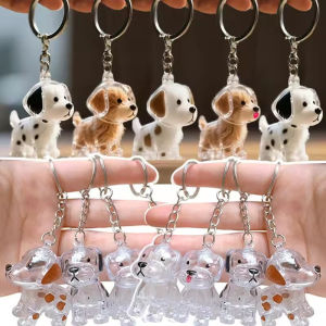 10ชิ้น พวงกุญแจขนสุนัข / จี้แคปซูลขนสัตว์เลี้ยง / พวงกุญแจคู่รัก DIY / กล่องเก็บของอะคริลิกใสขนาดเล็ก / อุปกรณ์ตกแต่งของขวัญของที่ระลึก