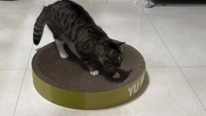 Cat Scratching Board Thickened for Home Care and Daily Use Suitable for Storage Cleaning or Routine Setup for Indoor scratching board for cat cat scratching board cat scratching
