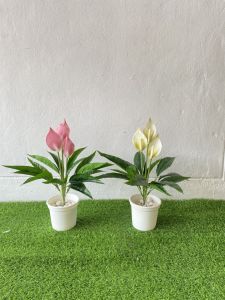 ต้นเดหลีกวักเงิน 45 ซม. เสมือนจริง ต้นไม้ปลอม ต้นไม้ประดิษฐ์ ดอกไม้ปลอม ดอกไม้ประดิษฐ์ Leeartplants