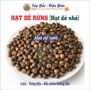 Hạt Dẻ Rừng Điện Biên - Đặc Sản Điện Biên - Thơm Bùi - Túi 1kg - Ăn Vặt - Nuts - Snack