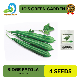 VALUE PACK (4 SEEDS) RIDGE PATOLA/TAGALOG VARIETY/FOR PLANTING/HIGH YIELDING