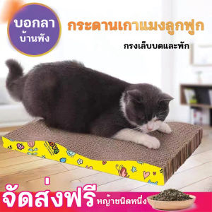 เล็บเล็บแมว โซฟา เขียนหรือที่ฝน กระดาษลูกฟูก ขนาดเล็ก ชุดเครื่องเล็ต เล็บได้ รูปแมวเหลือง