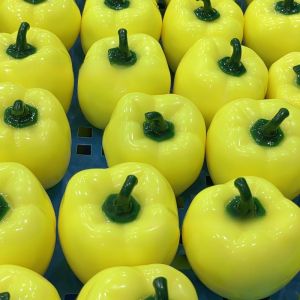Crunchy Squishy Cabbage Handmade Ball Squeeze Ball Vegetable Crunchy Squishy Toy Round Blocks Filled ASMR Sensory Decompression Fidget Toy Friends Gifts