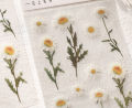 Sticker hoa lá Vintage trang trí, miếng nhán dãn hình hoa lá dán sổ, điện thoại, thiệp handmade. 