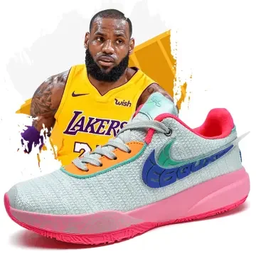 Lebron james 23 shoes online