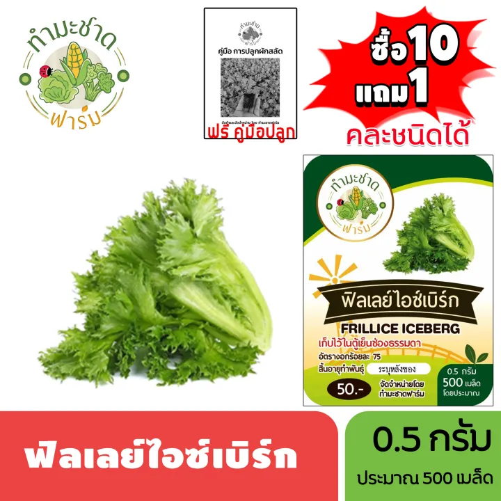 เมล็ดพันธุ์ ฟิลเลย์ไอซ์เบิร์ก ทำมะชาดฟาร์ม 500 เมล็ด