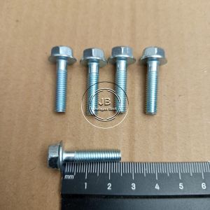 10 PCS BAUT TOPI KUNCI 10 M6X25 BAUD PANJANG 25CM 25 CM PUTIH 25MM 25 MM FLANGE BOLT M 6 X 25 BAUT 6X25 6 X 25 PITCH DRAT 1.0