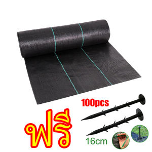 💥ซื้อ1แถม1💥 (หนาขึ้น) พลาสติกคลุมวัชพืช ผ้าคลุมหญ้า 1x5 2x50 1x100 2x100 3x50 กำจัดหญ้า พลาสติกคลุมดิน ผ้าคลุมดิน