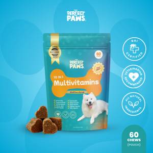 The Perfect Paws 10-in-1 Multivitamin for Dogs – 60 Chews | Supports Joints Skin Coat Digestion Heart Health Immunity Energy & Overall Wellness