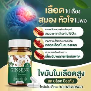 *1แถม1* GINSENG วิตามินสมุนไพร จินเซง ตัวช่วยลดความดัน เบาหวาน ควบคุมระดับน้ำตาลในเลือด ของแท้100% 1กระปุก 30เม็ด