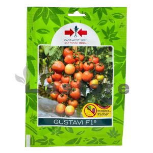 Benih Tomat GUSTAVI F1 Isi 150 Butir Cap Panah Merah