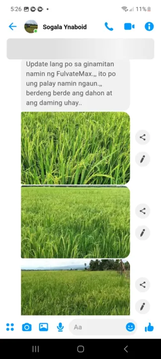 FulvateMax%20Organic%20Foliar%201%20liter%20per%201%20hectare%20Palay/Mais/Talong/Kamatis/Sili/Amplaya%20at%20iba%20pa%20-%20Image%205