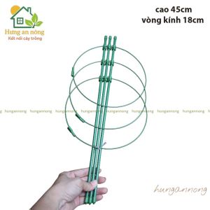 Bộ giá đỡ hoa hồng cây cảnh hỗ trợ dây leo size cao 45cm/75cm