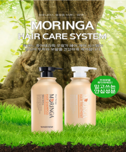 Whienne Moringa Protein Large Capacity Natural Shampoo x 1  Treatment Hypoallergenic mildly acidic deep cleansing / Pure Natural Moringa Protein Scalp Shampoo / Hair Loss Expert Care Shampoo