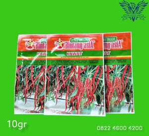 Benih Cabai Keriting Kawat 10gr Reguler Pouch Bibit Cabai Unggul Bintang Asia