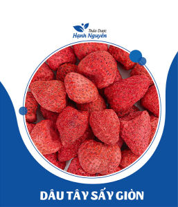 Sung mỹ sấy lạnh 100g sung sấy thăng hoa cao cấp không đường - Thảo Dược Hạnh Nguyên