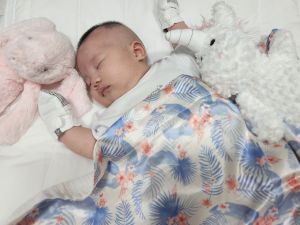 Just Arrived - MULSILK - Children Mulberry Silk & Cotton Blanket