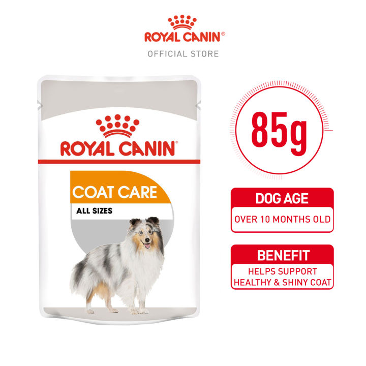 Royal Canin Coat Care Adult Wet Dog Food (85g) Canine Care Nutrition