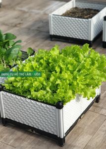 Chậu ghép của Nhật đáy 42*51cm cao 29cm màu trắng chuyên dùng trồng rau ăn lá