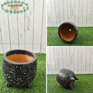 Pot Terracotta Pot Pohon Model Terraso Variasi Warna Dekorasi Ruangan Aesthetic