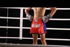 MMA Shorts for Kids & Adults Muay Thai Boxing Shorts Embroidered Martial Arts Clothing for Muay Thai and Taekwondo Training.