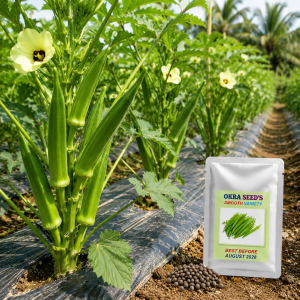 Okra Seeds – Premium Okra Variety | Approx. 20 Seeds Per Pack