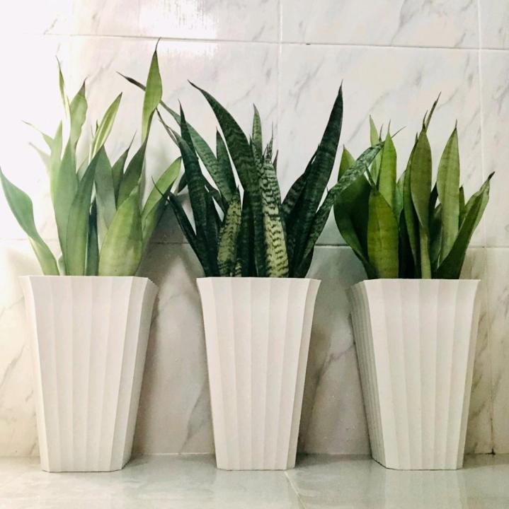 Tall Square Shell Pot White/Orange V-2 (8 Inches x 12 Inches) Best for Indoor Outdoor and Rare Plants