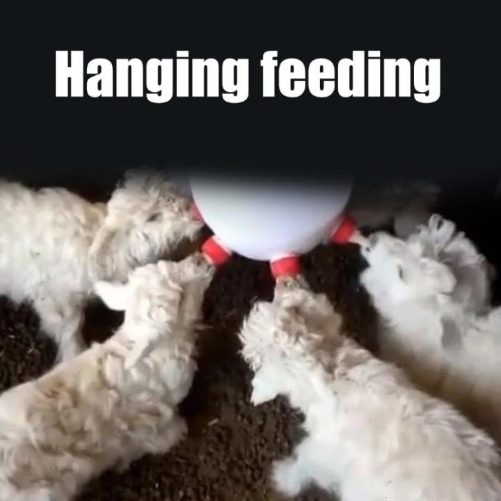 Tr%E1%BB%8Dng%20l%C6%B0%E1%BB%A3ng%20nh%E1%BA%B9%20ch%C4%83n%20nu%C3%B4i%20b%C3%ACnh%20cho%20%C4%83n%20ng%C6%B0%E1%BB%9Di%20s%E1%BB%AD%20d%E1%BB%A5ng%20th%C3%A2n%20thi%E1%BB%87n%20v%E1%BB%9Bi%20d%C3%AA%20b%C3%ACnh%20cho%20%C4%83n%20S%20ch%C4%83n%20nu%C3%B4i%20ph%E1%BB%A5%20ki%E1%BB%87n%20%C4%83n%20-%20Image%209