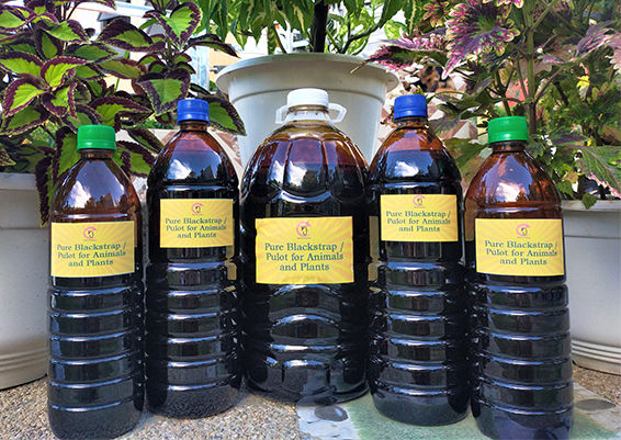 5 kg - Pure Organic Blackstrap Molasses/Pulot for Animals and Plants
