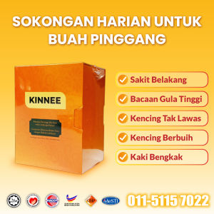 KINNEE Functional Food | Supports Kidney Health & Urinary Function Herbal Drink (20 Sachets Per Box)