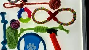 Colorful 10-Piece Cotton Rope Dog Toy Set Chew Dental Training Toy for Cats Dogs
