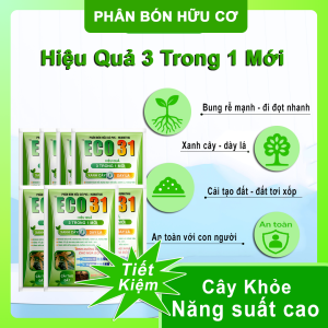 Combo 7 Gói ECO31 1kg  – Bung Rễ Mạnh Đi Đọt Nhanh Xanh Cây Dày Lá – Gói 1kg