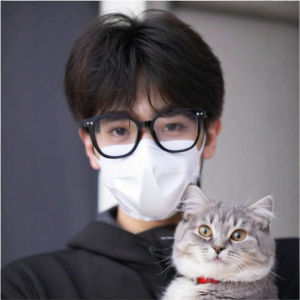 วิกผมผู้ชายเกาหลีทุกวันแบ่งปกจำลองผมสั้นปุยธรรมชาติแฟชั่นเต็มหัว