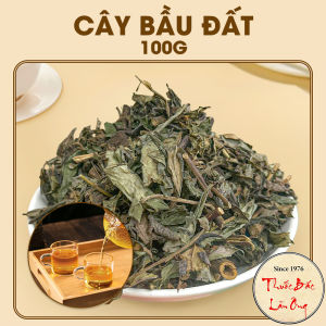 Cây bầu đất tím khô 100g bầu đất tía cải thiện nội tiết tố điều hòa kinh nguyệt nám tàn nhang