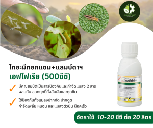 เอฟโฟเรีย 500 ซีซี (ไทอะมีทอกแซม+แลมบ์ดาฯ) เป็นสารป้องกันแมลง 2 สารผสมกัน ออกฤทธิ์ทั้งสัมผัสและดูดซึม ใช้ป้องกันทั้งแมลงปากกัด ปากดูด เพลี้ย หนอน