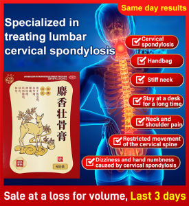 biaozhen Musk Bone Strengthening Patch for body swelling pain relief general fever