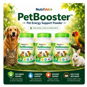 Buy 1 Take 2 | NutriVet+ PetBooster Pet Energy Support Powder  Dog & Cat Energy Supplement | Easy Mix