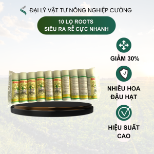 10 ống Siêu Ra Rễ Gốc Mai Cây Trồng