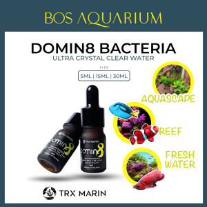 Domin8 Bacteria Starter Aquarium Clear Water Penjernih Air Concentrated Bakteria Baik 硝化菌 FOR REEF  FRESHWATER  AQUASCAPE
