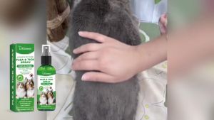 Garapata Killer Spray Anti Flea And Tick For Dogs Cats Kills In 1 Second Pet Grooming Ready Stock COD