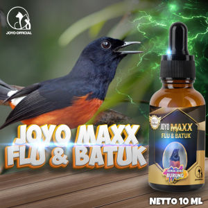 OBAT BURUNG BATUK PILEK | OBAT BATUK | OBAT FLU | OBAT PILEK | MAXX FLU & BATUK