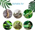 Crested Gecko Coconut Hide Natural Lizard Coco Hut Reptile Hanging Nest Flexible Vine Habitat Decoration Bearded Dragon Terrarium Accessories for Tortoise Chameleon Snake Spider. 
