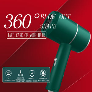 Negative Ion/White Hair Dryer Negative Ion Hair Dryer 2 Speed Temperature DC Hair Dryer