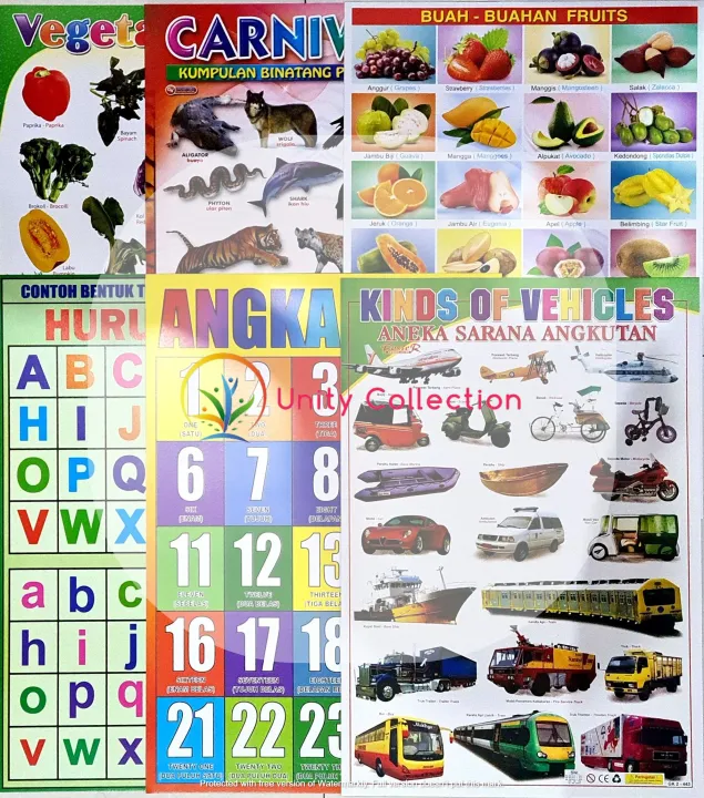 Paket%206%20Poster%20Edukasi%20Anak%20Lengkap%20Belajar%20Buah%20Huruf%20Abjad%20ABC%20Angka%20Sayuran%20Hewan%20Kendaraan%20-%20Image%2010