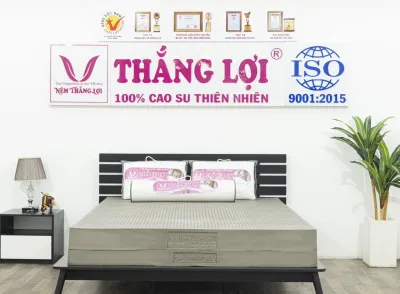 NỆM CAO SU THIÊN NHIÊN 100% HOẠT TÍNH THẮNG LỢI -BẢO HÀNH 15 NĂM