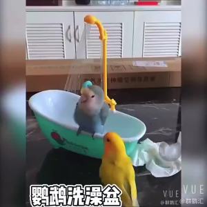 [DANDELION]Parrot Automatic IntelligentBath Bird Shower Bathtub Supplies Blue Cute Plastic Cage AccessoriesHousehold Accessory Bird Bath