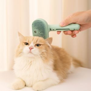 DEQIX USB Charging Cat Spray Brush Water Tank Humidifying Cat Massage Comb Cleaning Brush Pet Steam Brush Shedding